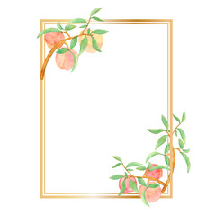 Obraz premium Golden rectangular frame with hand painted watercolor peaches isolated on white background. Frame with peaches for wedding invitations, cards and scrapbooking. 