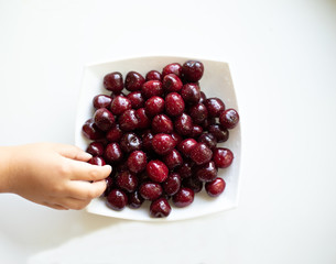 children`s hand over a white plate with cherries on a white background
