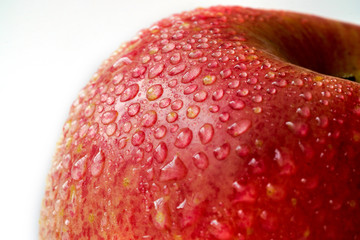 Red Apple Agriculture Healthy Life Nutrition Fruit 