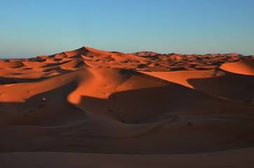 Fototapeta na wymiar Sand Dunes in the Hot Dessert of Morocco