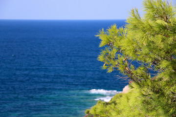 Green plants on the islands of the Aegean Sea, Greece