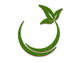 Green grass circle and leaf plate surface