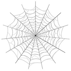 Spiderweb on white background - illustration