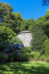 Italie - Piémont - Iles Borromées - Isola Madre - Hortensias bleus dans le Parc