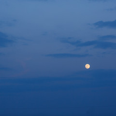 Big yellow full moon over night city in white night, twilight sky and full moon