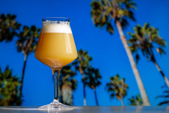 A hazy India pale ale craft beer in a Teku Glass with tropical palm trees and blue sky.