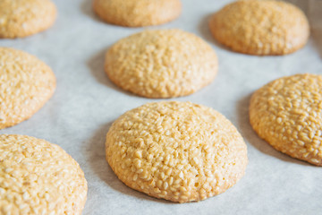 Hot sesame biscuits, homemade healthy snack. Honey bars with sesame seeds on sheet after baking in oven. Natural light. Round form, selective focus.