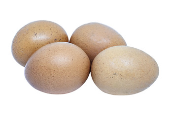 chicken egg isolated on white background