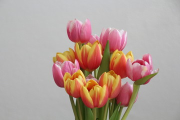 bouquet of pink and yellow tulips