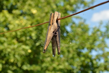 clothes peg on a clothesline