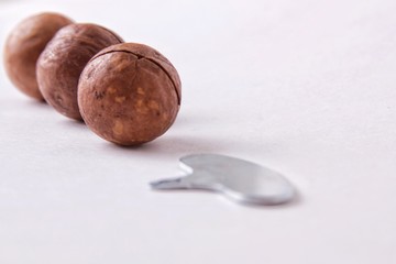 Isolated macadamia nuts with key on white background