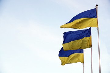 Ukrainian flag
