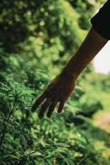 A shot of mother nature at her best