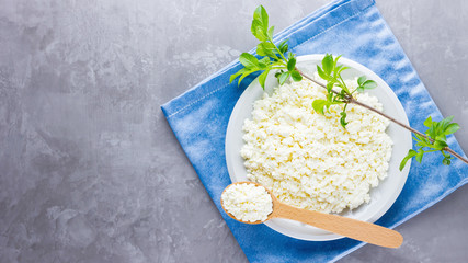 Cottage cheese in a white plate on a gray background. Soft cheese and wooden spoon on cement....