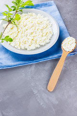 Cottage cheese in a white plate on a gray background. Soft cheese and wooden spoon on cement. Cottage cheese and branch with green leaves on a blue napkin. Top view. Copy space