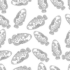 Seamless pattern with fish.A fish with a large sharp fin.Marine theme.Doodle style.Black and white image.Vector illustration