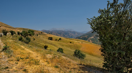 Central Asia. Kyrgyzstan. The North-Eastern section of the Pamir highway near the city of...