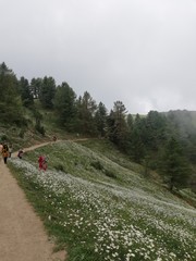 Obraz premium hiking trail in mountains