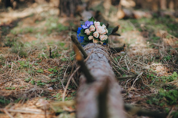 A wedding bouquet of fresh roses lies on a log in the forest on nature close-up. Photography, concept.