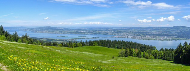 Fototapeta premium Panorama Zürichssee und Zürich vom Stöcklirüz aus mit Bergwiese