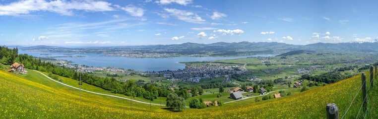 Panorama Zürichsee und Zürich vom Stöcklirüz aus mit Bergwiese