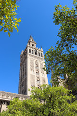 Fototapeta na wymiar Historical building Giralda tower in Seville Cathedral, Spain
