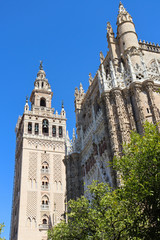 Historical building Giralda tower in Seville Cathedral, Spain