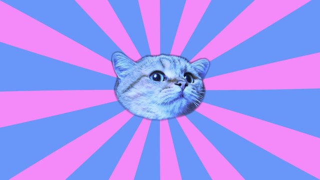 Animation motion design. Looping graphic animation in zin art style. Laser beams shoots from a cat's eyes. The head of a cat in tunnel colour space. Cool and the best moves in stylish of 80s and 90s