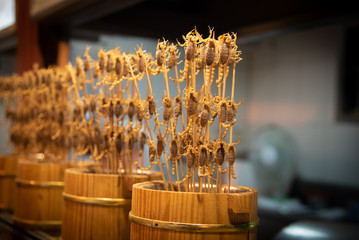 Fried scorpions on the stick, snack street in Beijing China. Asian cuisine