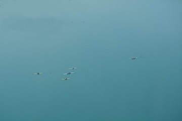 Eslovénia - Lago Bled