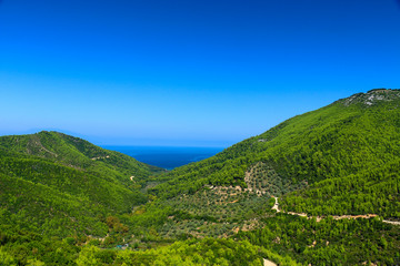 Obraz premium Green plants on the islands of the Aegean Sea, Greece