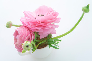Bright Buttercup flower, inserted in the mug