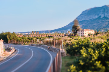 Panoramic view of Mount Montgo in Denia orange plantations on the left of the road. Tilt Shift focus