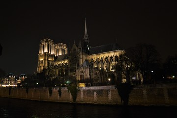 Fototapeta na wymiar catedral de notre dame de paris