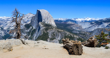 Petrified trees at Glacier Point with Half Dome in the distance in Yosemite National Park