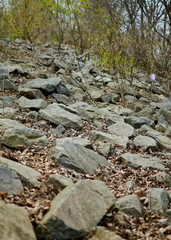 large stones lie on the ground