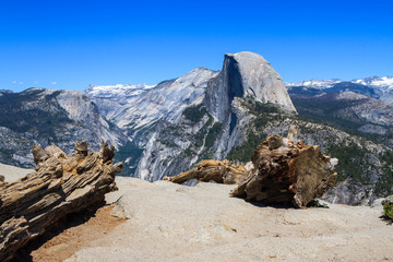 Petrified trees at Glacier Point with Half Dome in the distance in Yosemite National Park