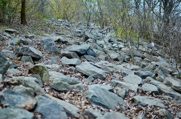 large stones lie on the ground