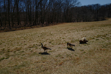 Nature valley farm trail