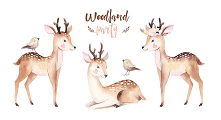 Woodland watercolor cute animals baby deer. Scandinavian cartoon forest nursery poster design. Isolated charecter