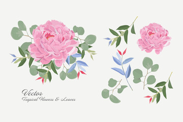Set of tropical flower and branch. Flower pink paeonia, green leaves. Wedding concept with flowers. Floral poster. Vector inviting card design