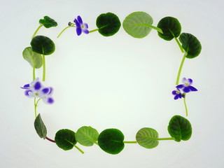 Flower comoposition made of  violet  Saintpaulia.   Birthday, Mother's Day, Women's Day concept. Top view, copy space, flat lay.