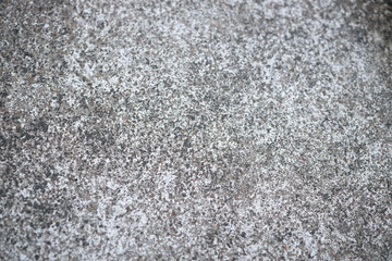 White old cement wall concrete backgrounds textured