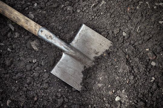 Old Shovel In Soil