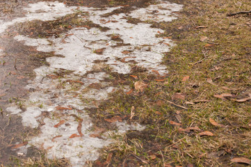 Texture of ice and snow on frozen puddles in a winter park with selective focus