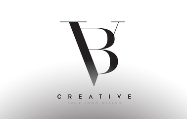 BV VB letter design logo logotype icon concept with serif font and classic elegant style look vector