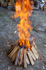 Camp fire for barbecue
