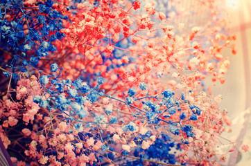 Small blue and pink flowers. Beautiful natural background.