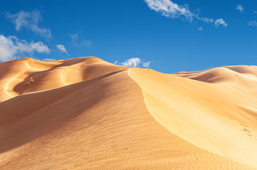 Fototapeta na wymiar The Omani Rub al-Chali Desert during summer