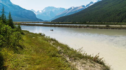 nature scenaries along the river Athabaska, Jasper National Park, Alberta, Canada